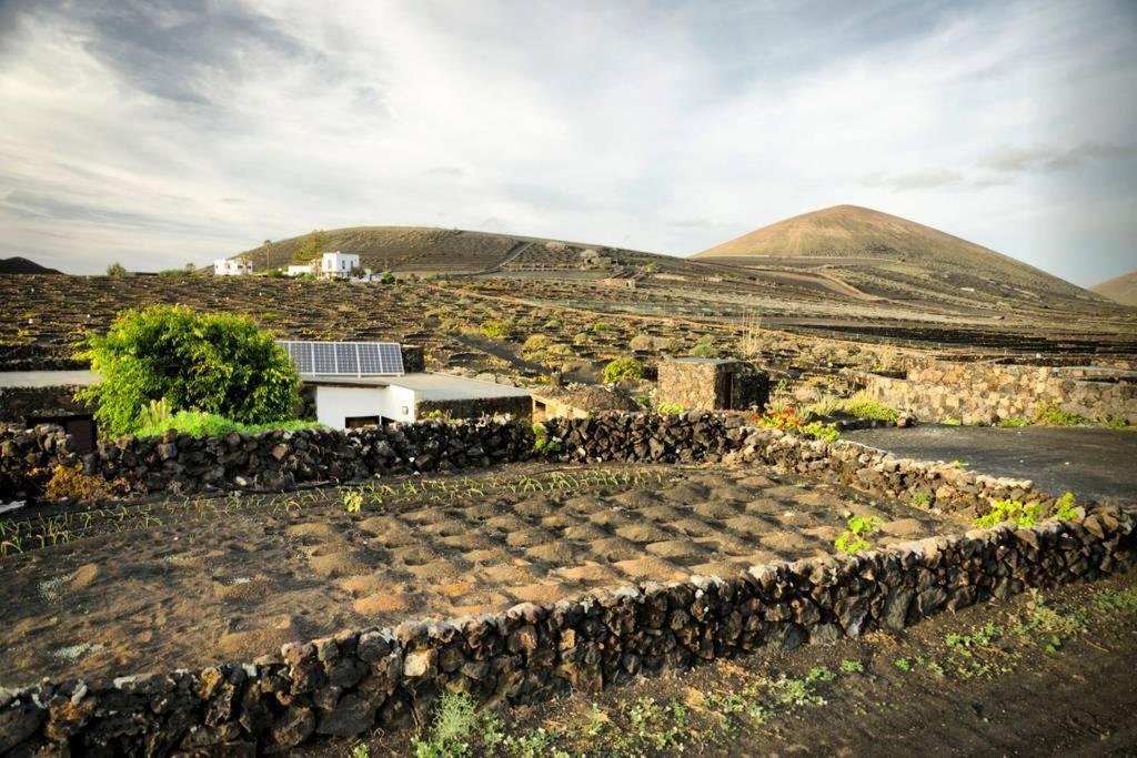 Los Frailes Eco Finca A Tinajo Exterior foto